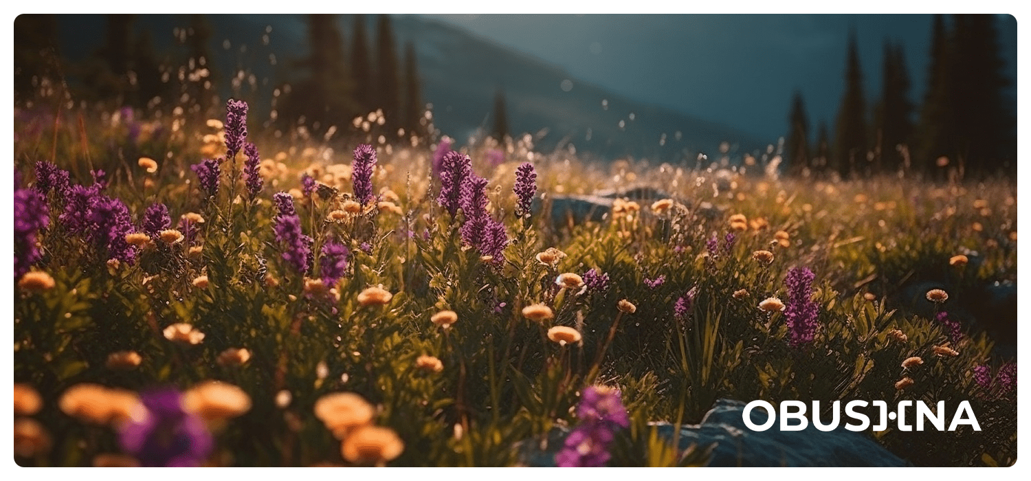 Шлях повернення до власного тіла