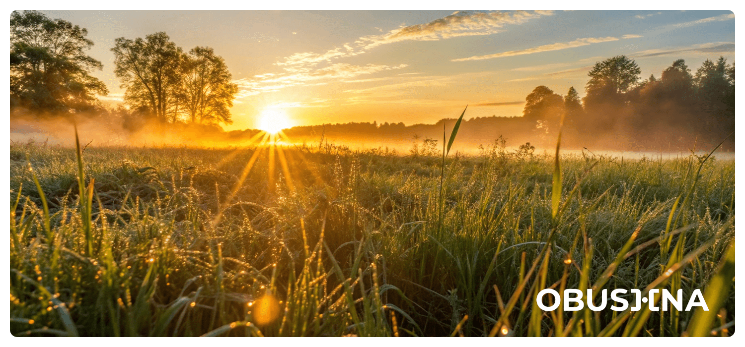 Cybersickness та розбіжність сигналів зору і вестибулярної системи. Obushna.pro