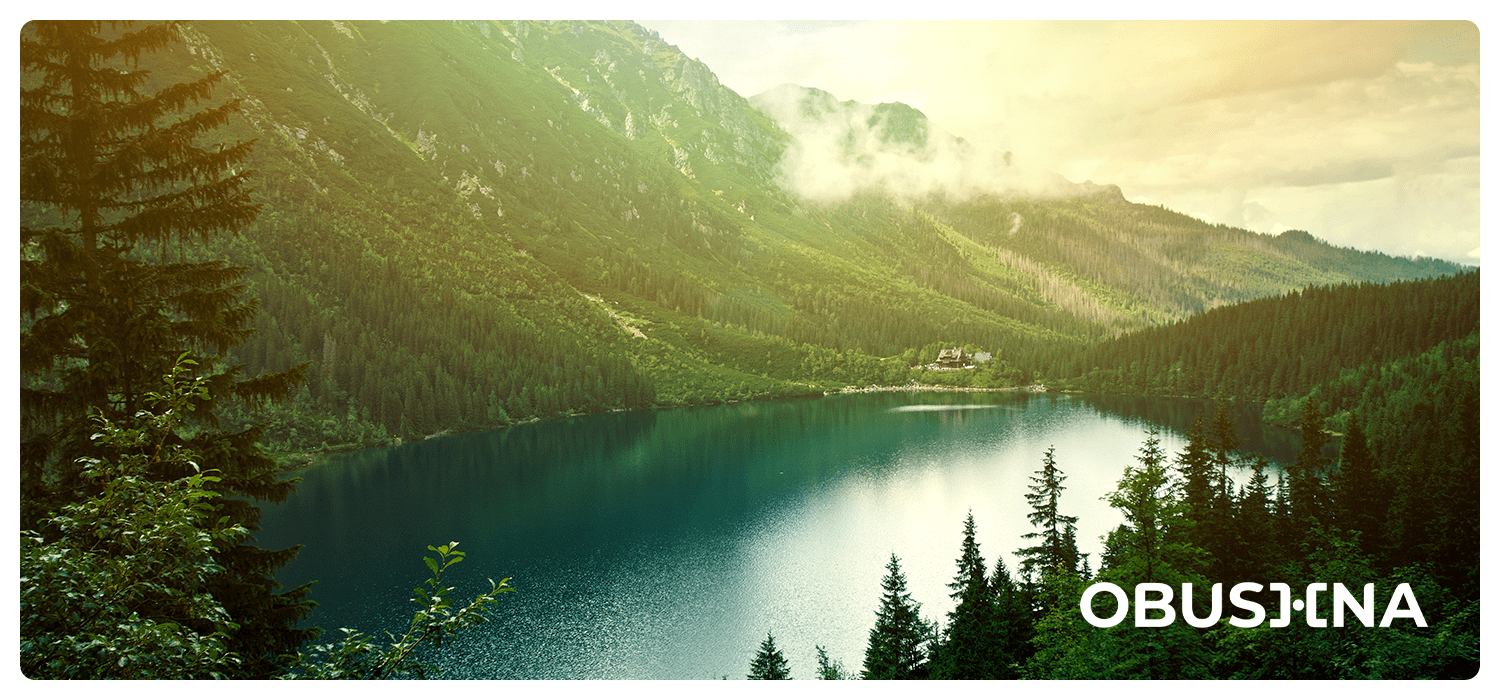 психология TikTok як ресурс для усвідомленості Obushna.pro