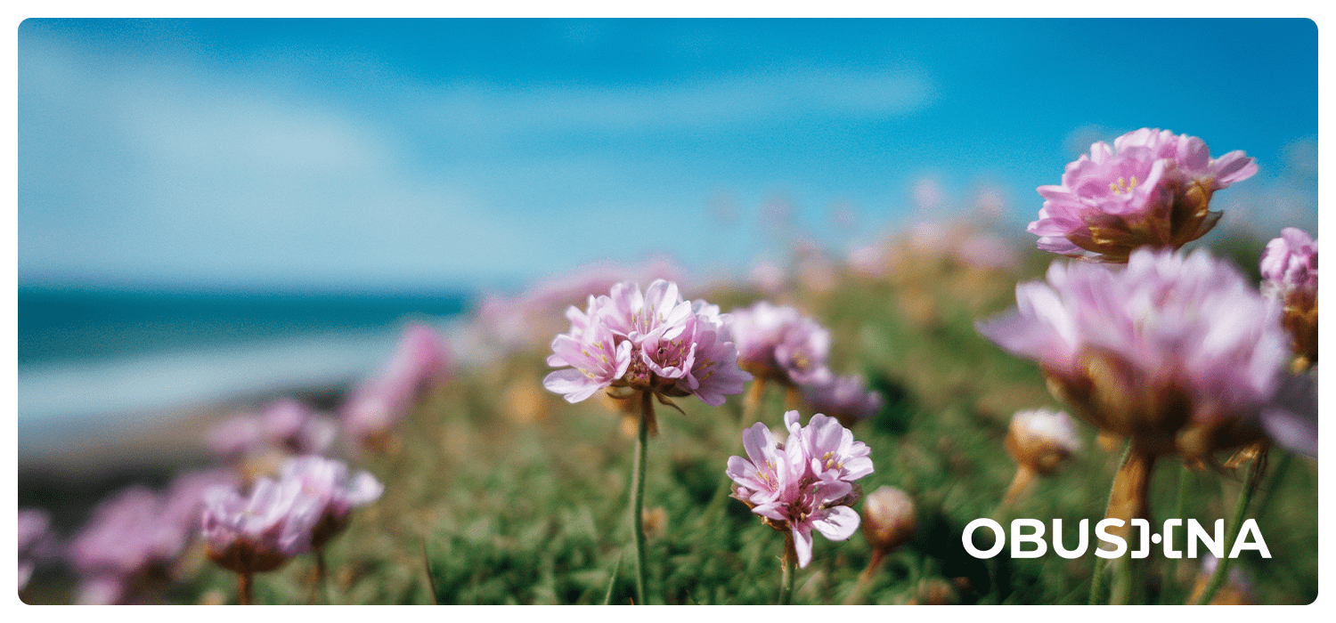 Vidnovlennya_vid_vyhorannya_Obushna_pro