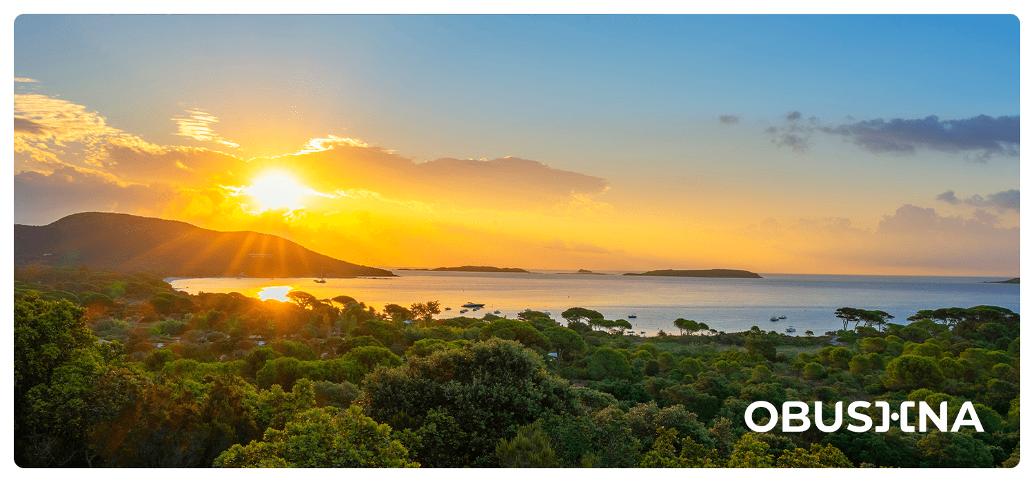 Дофамін і соціальні мережі та способи відновлення балансу Obushna.pro