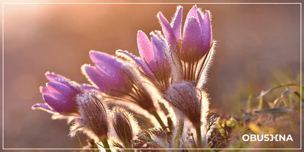 Екологія психіки і тривога у сучасному світі, пошук внутрішньої рівноваги. Obushna.pro