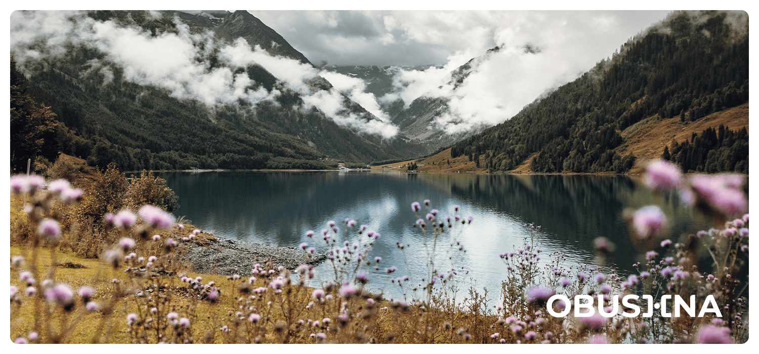 Цифрова психологія і ресурси для подолання тривоги Obushna.pro