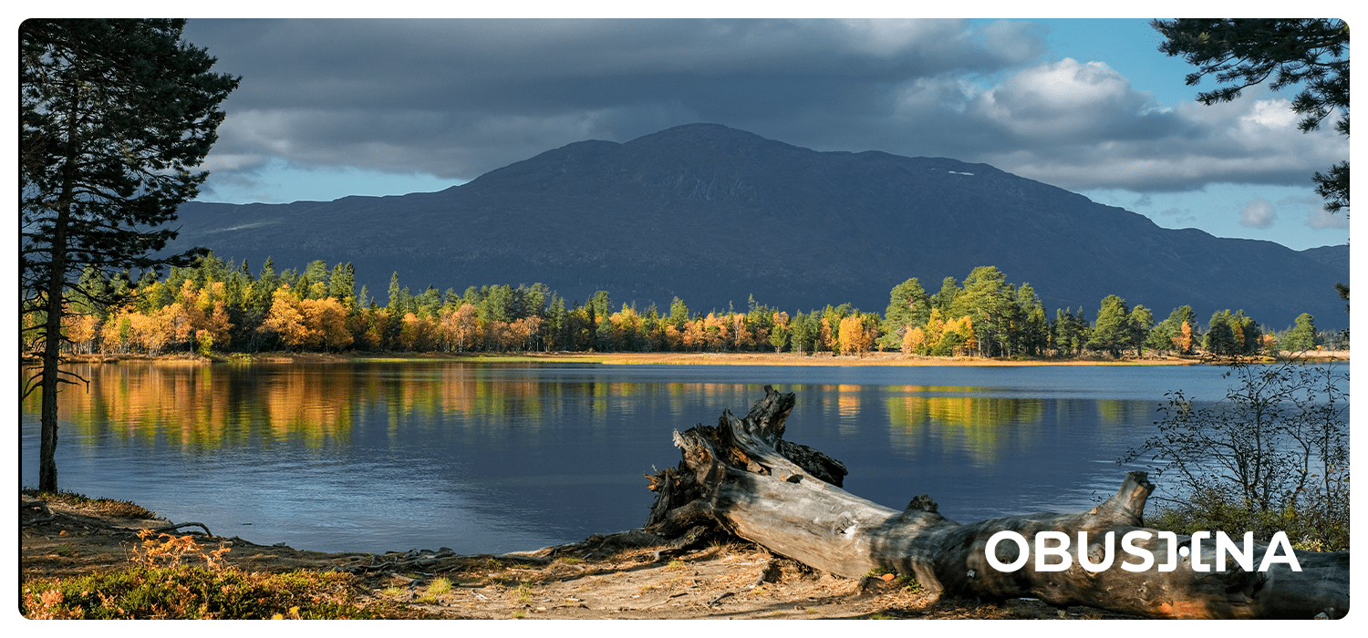 Поп-психологія і практичні техніки для саморегуляції Obushna.pro