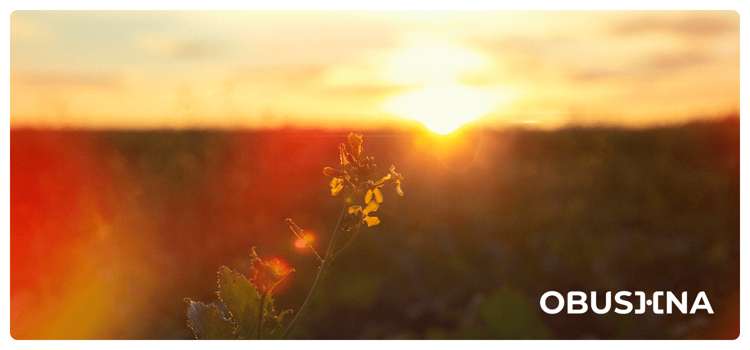 Залежність від ШІ і втрата контакту з реальністю Obushna.pro