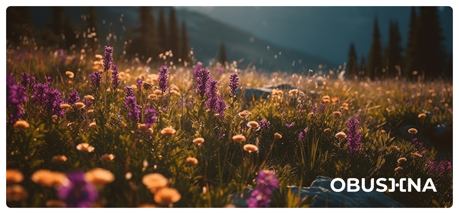 Відновлення після емоційного вигорання волонтерів