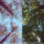 Нейробіологія допомоги іншим — як волонтерство впливає на здоров'я