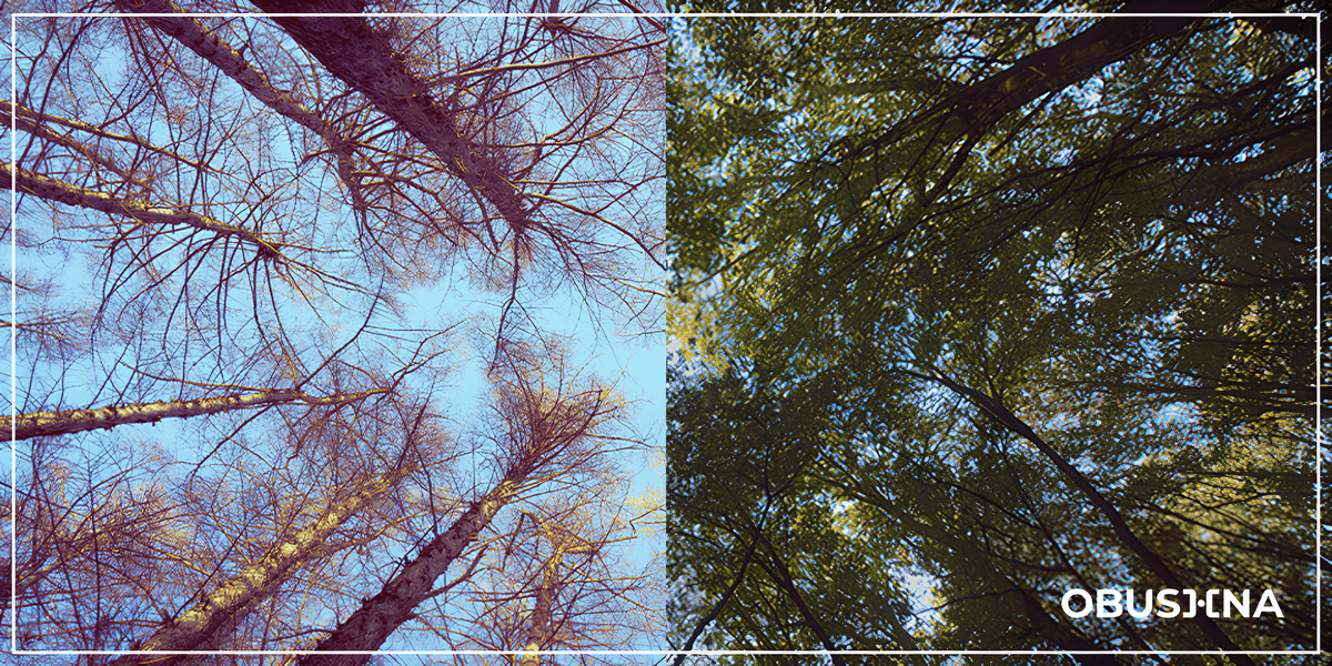 Нейробіологія допомоги іншим — як волонтерство впливає на здоров'я