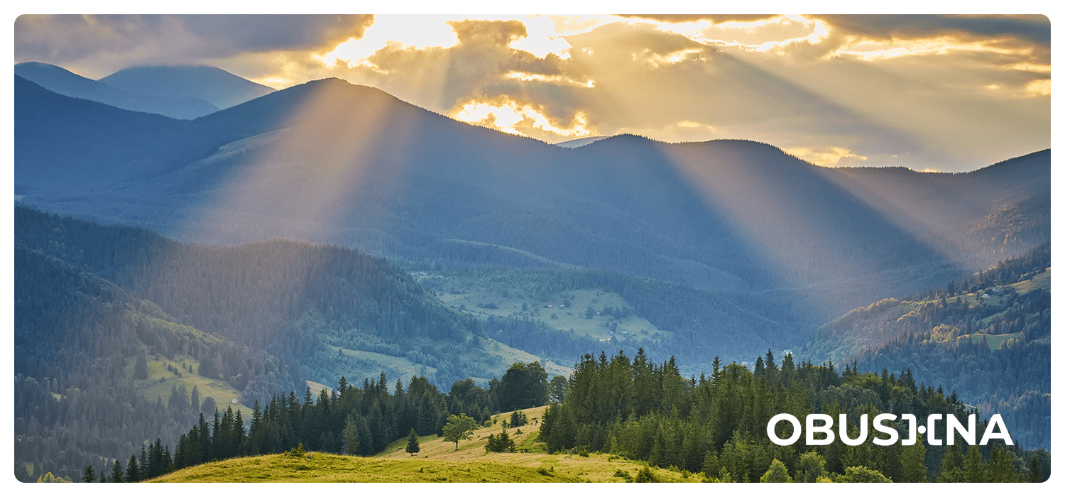 Здорове волонтерство через усвідомлену допомогу іншим