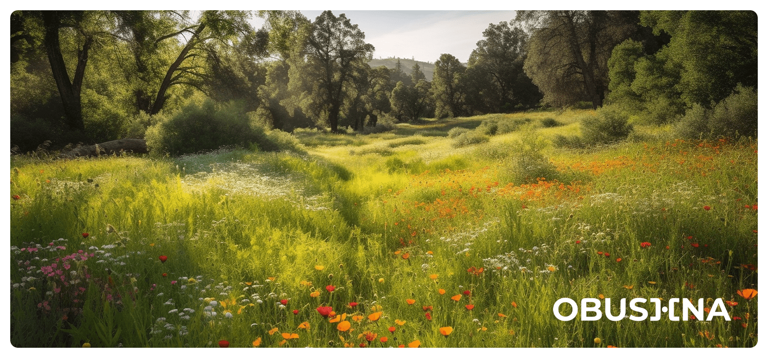 Позитивний вихід: баланс і внутрішня опора замість материнської тривожності