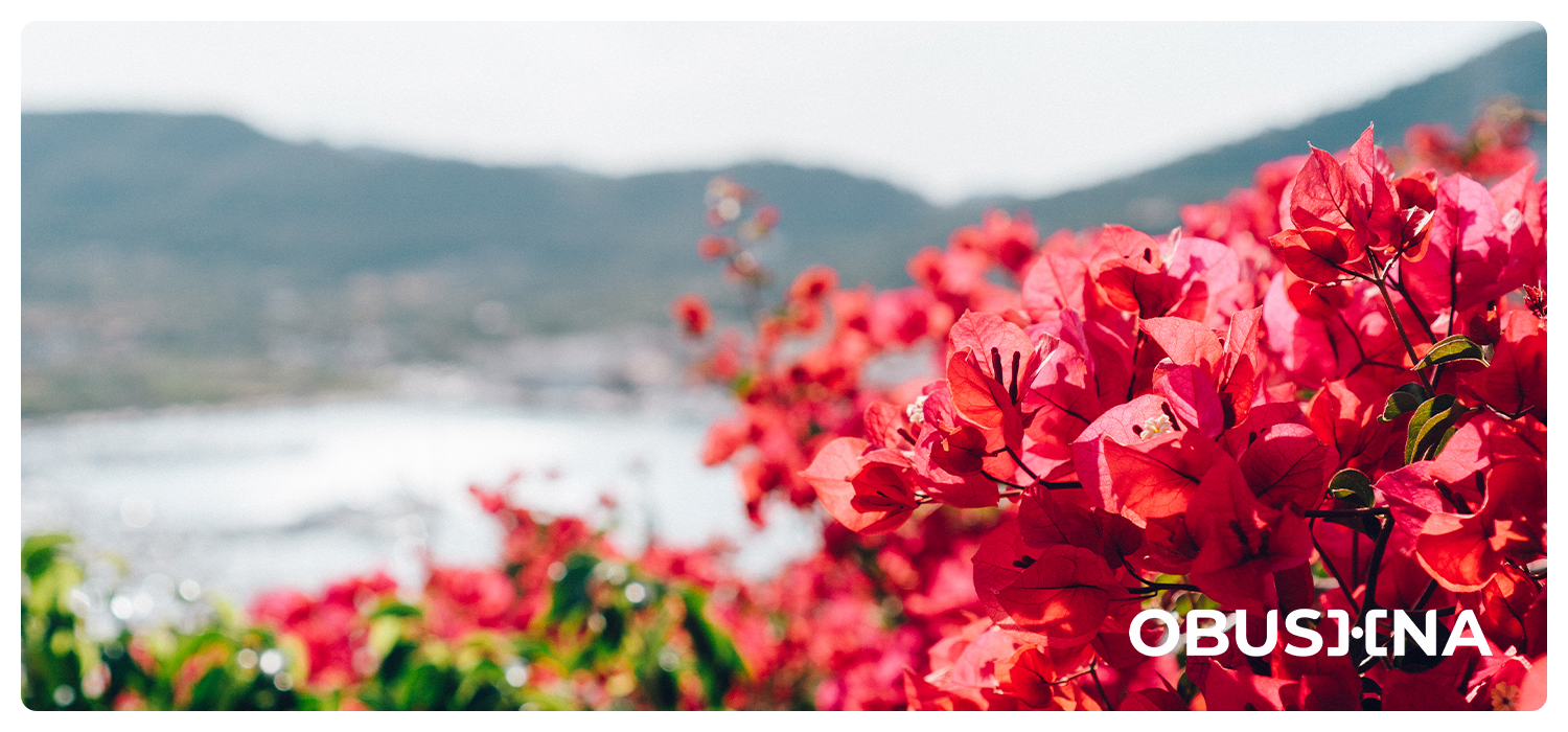 Мілленіали і баланс: шлях до «достатньо добре»