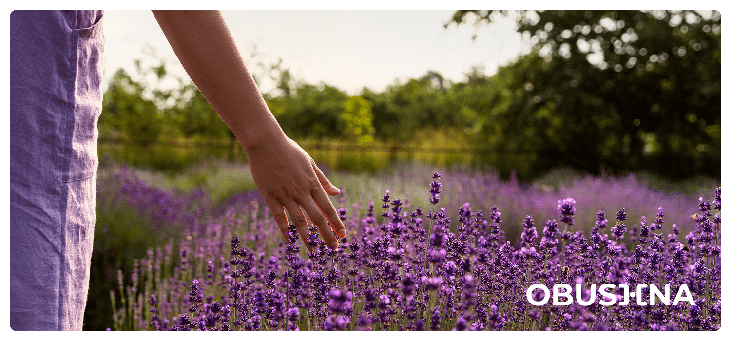 Вихід із тривоги через усвідомленість і теплі контакти