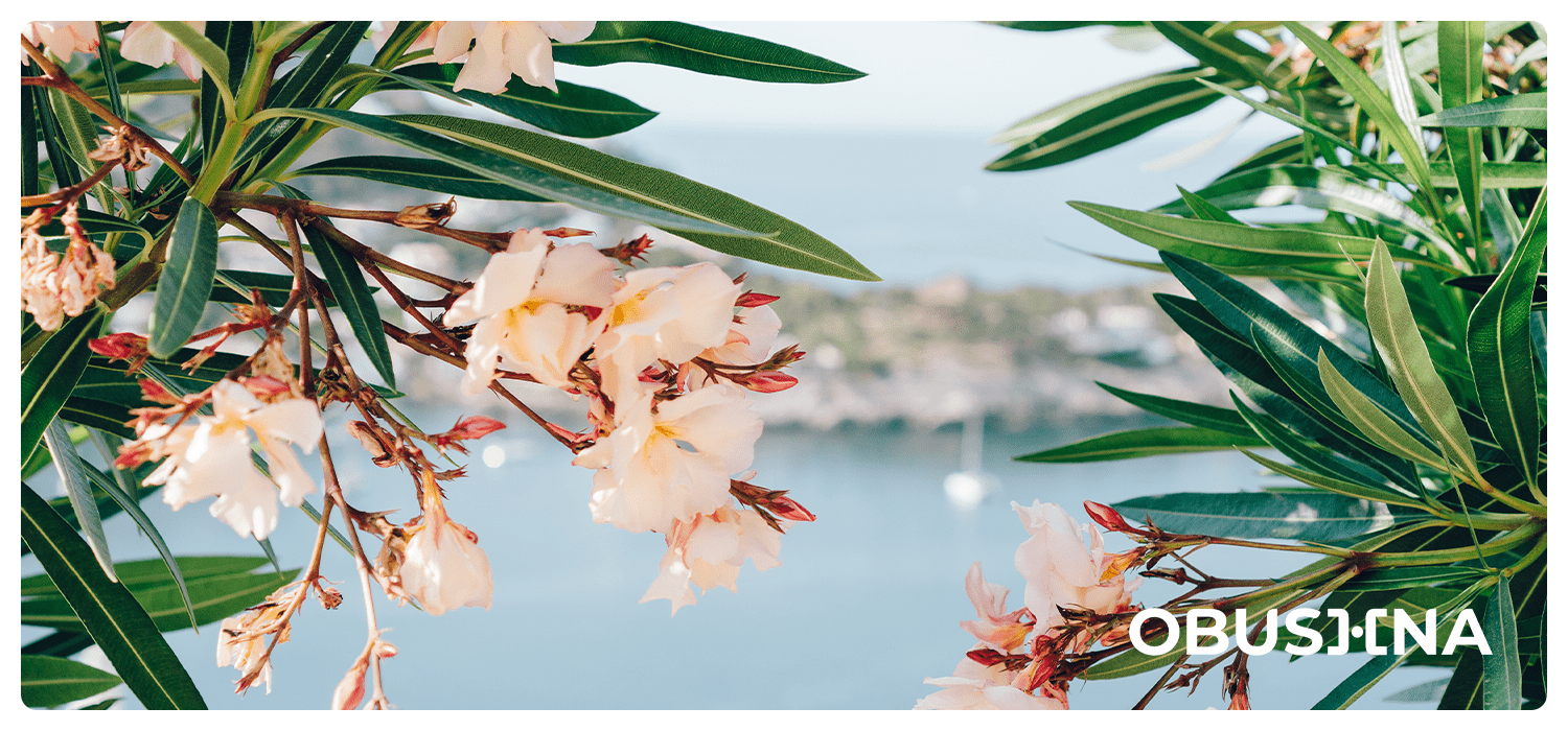 Покоління X жінки баланс стосунки щастя гармонія сім'я