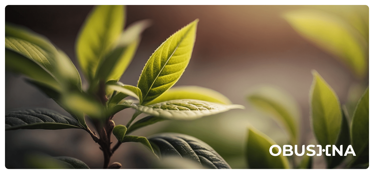 Здорова допомога без синдрому рятівника: баланс між собою та іншими