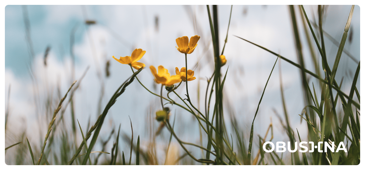 Позитивний вихід: менше цифрового сорому — більше внутрішнього балансу