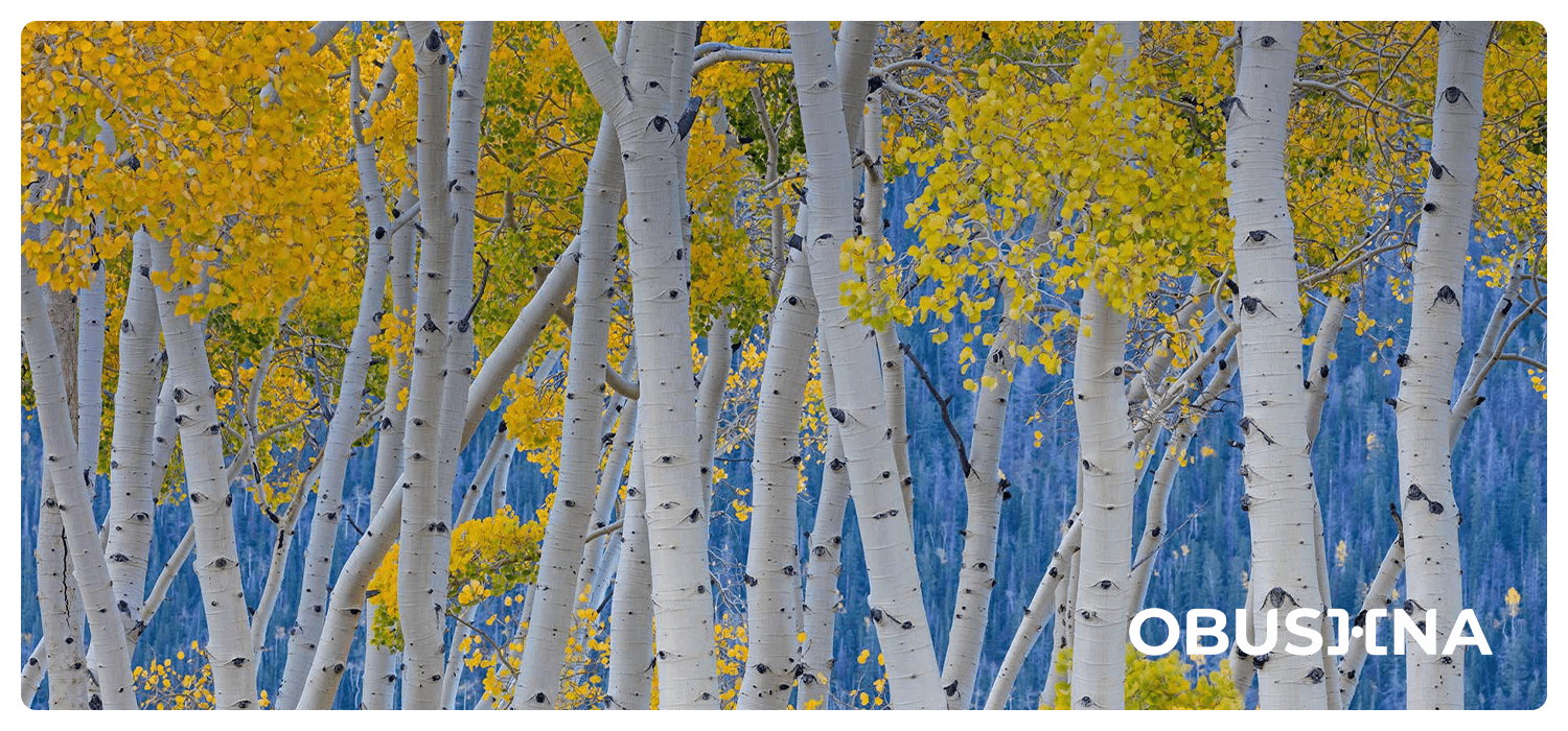 Вихід з емоційної парентифікації