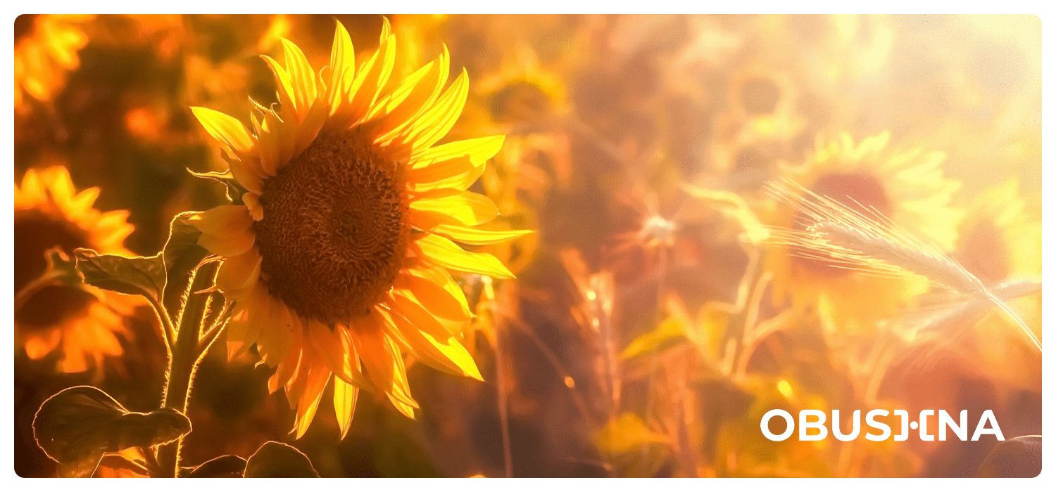 Призначений хворий: вихід із ролі та внутрішня опора