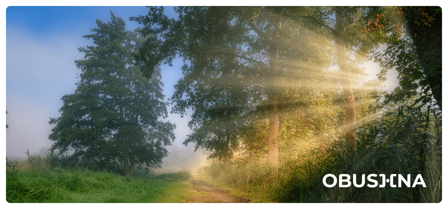 Подвійне послання і вихід з пастки