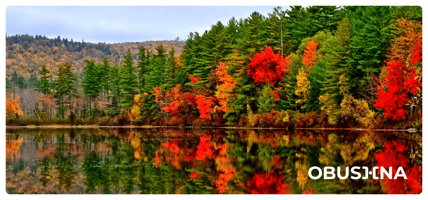 Тривожність і уникнення: можливість відновлення контакту