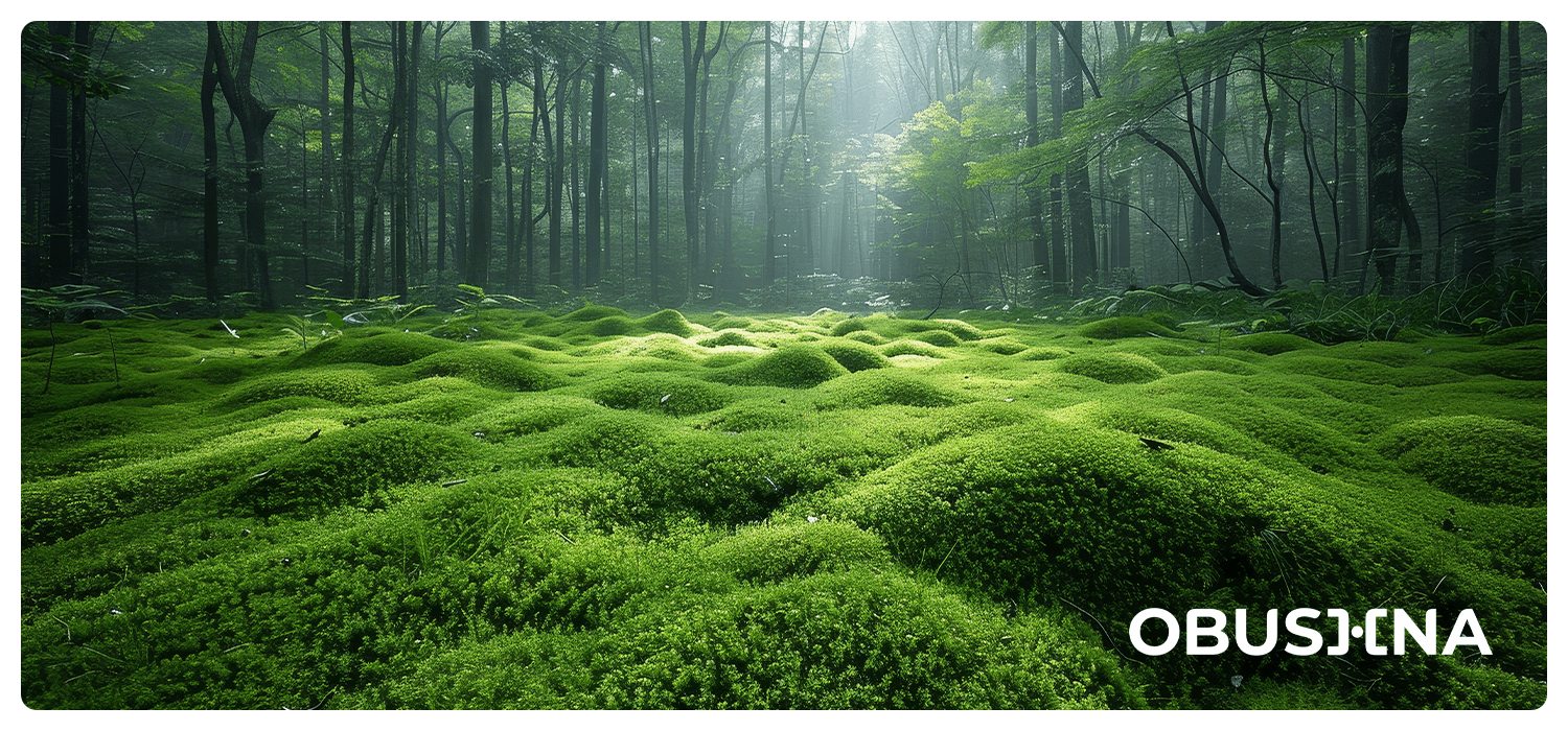 Потурач і вихід з ролі