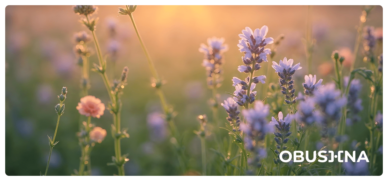 Усвідомленість і внутрішній баланс