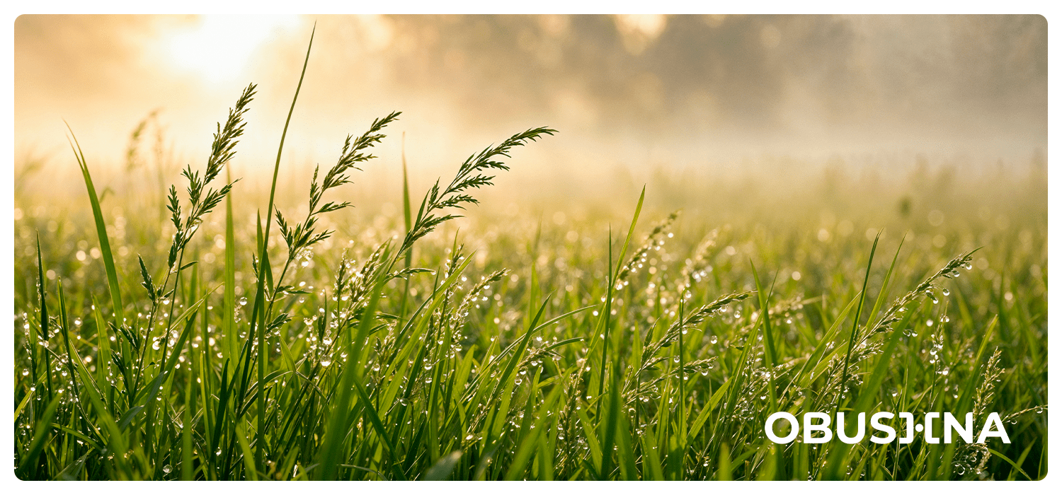 Мовчазна відмова від діалогу і відновлення контакту