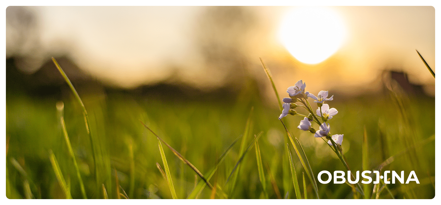 Токсичні стосунки — шлях до відновлення
