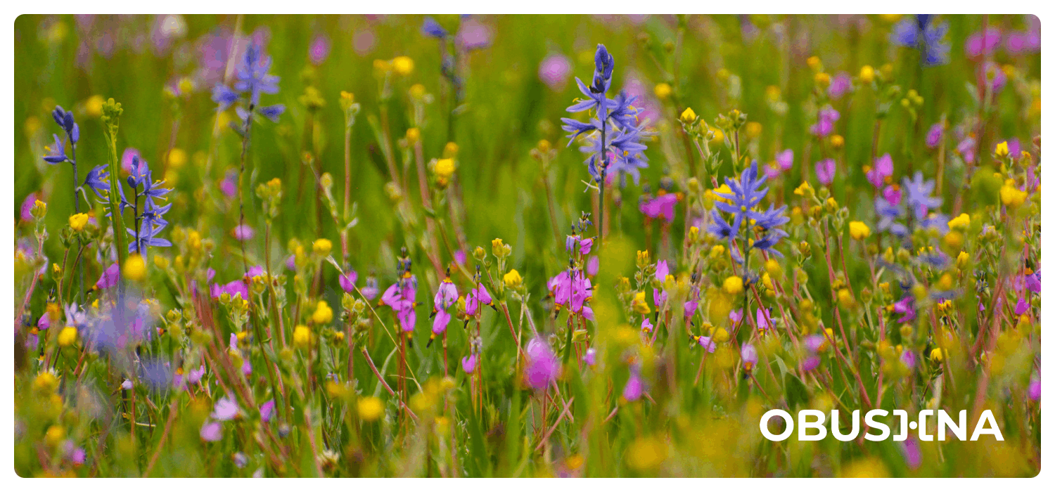 Реакція завмирання: вихід зі ступору і повернення опори