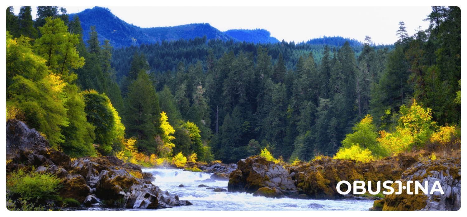 Втома від співчуття та відновлення балансу