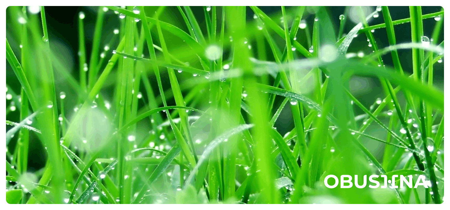 Психологічна травма: від внутрішнього суду до балансу