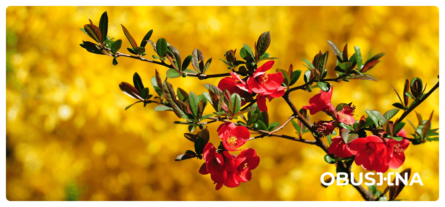 Читання думок і відновлення внутрішньої ясності