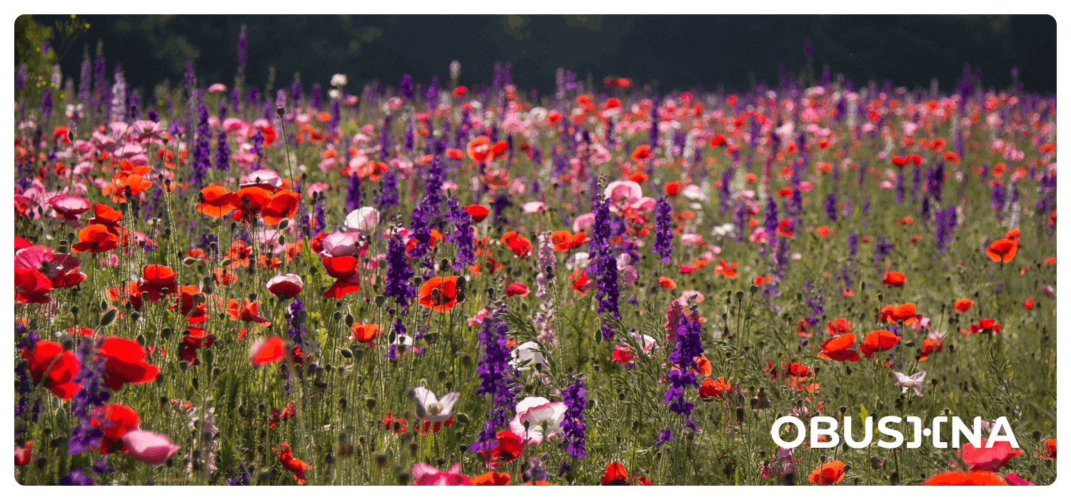 Догоджання іншим: шлях до балансу Догоджання іншим: вихід через ясні межі