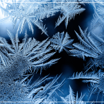 Реакція завмирання: заціпеніння під тиском і стресом