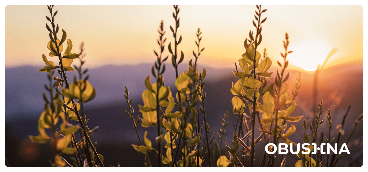 Баланс після перебільшення і применшення