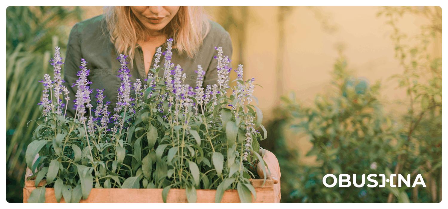 Персоналізація і відновлення балансу
